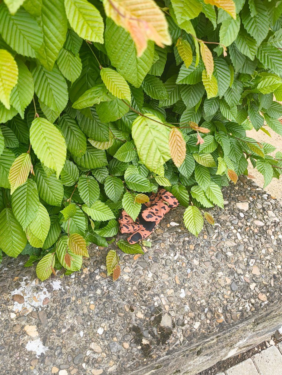 multicolor glove found on 7 May 2026
