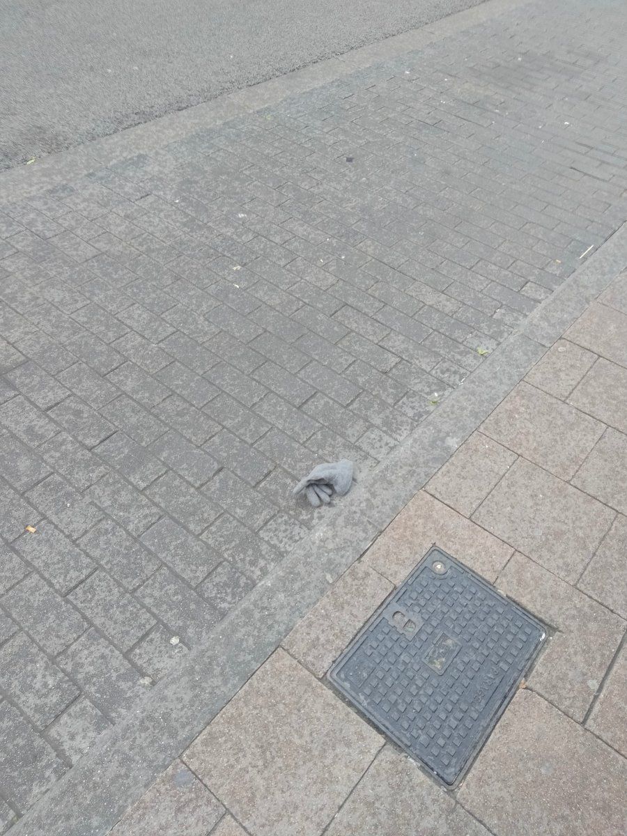 Lost grey glove found in Belgium