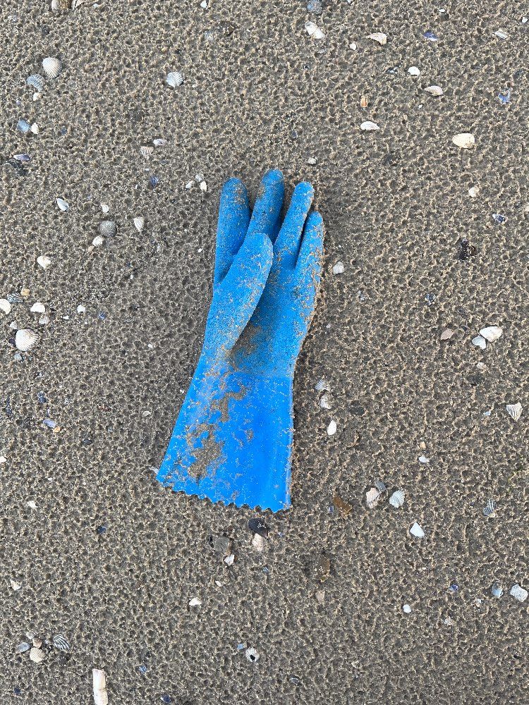 Lost blue glove found in France