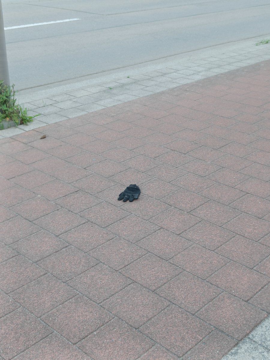 Lost black glove found in Belgium