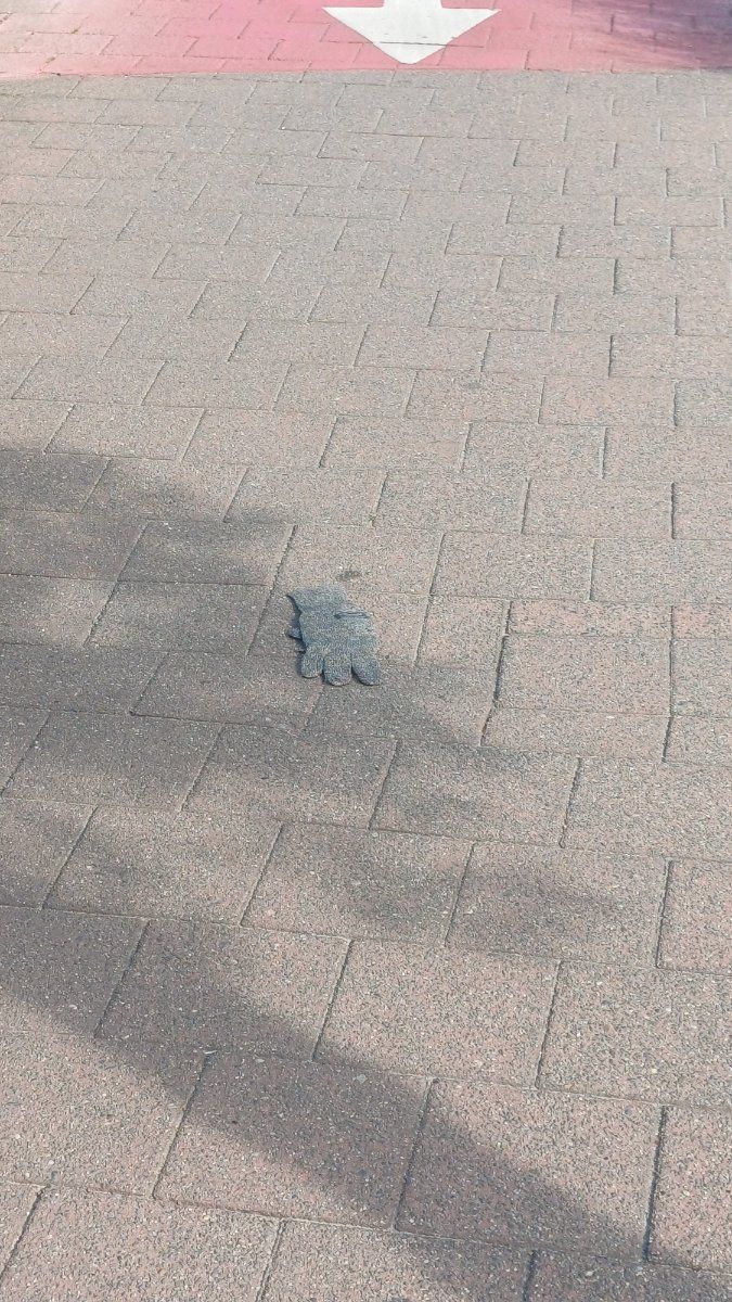Lost grey glove found in Belgium