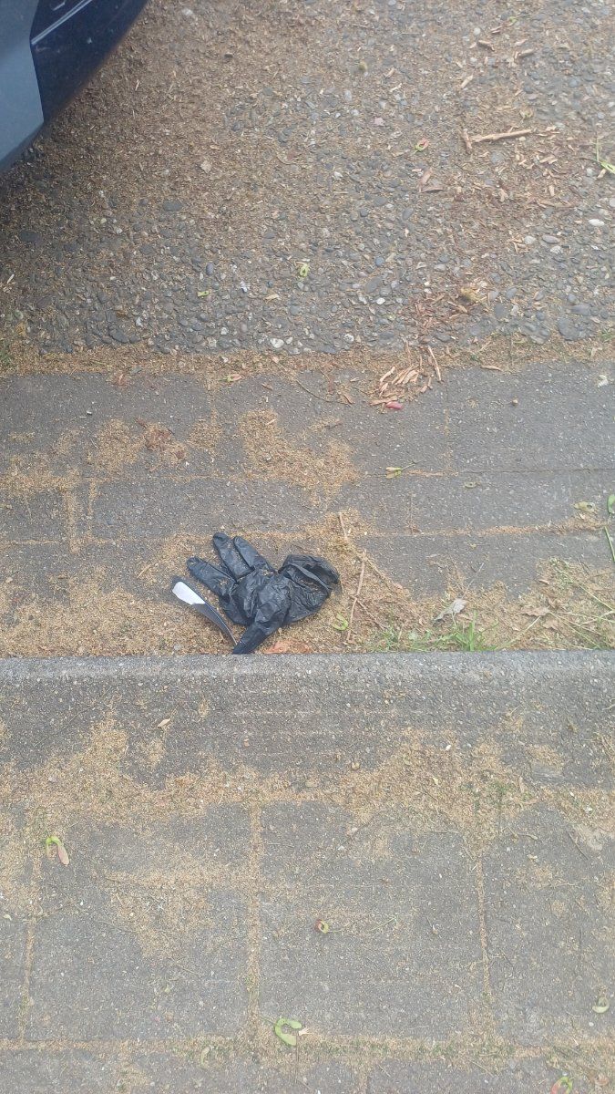Lost black glove found in Belgium