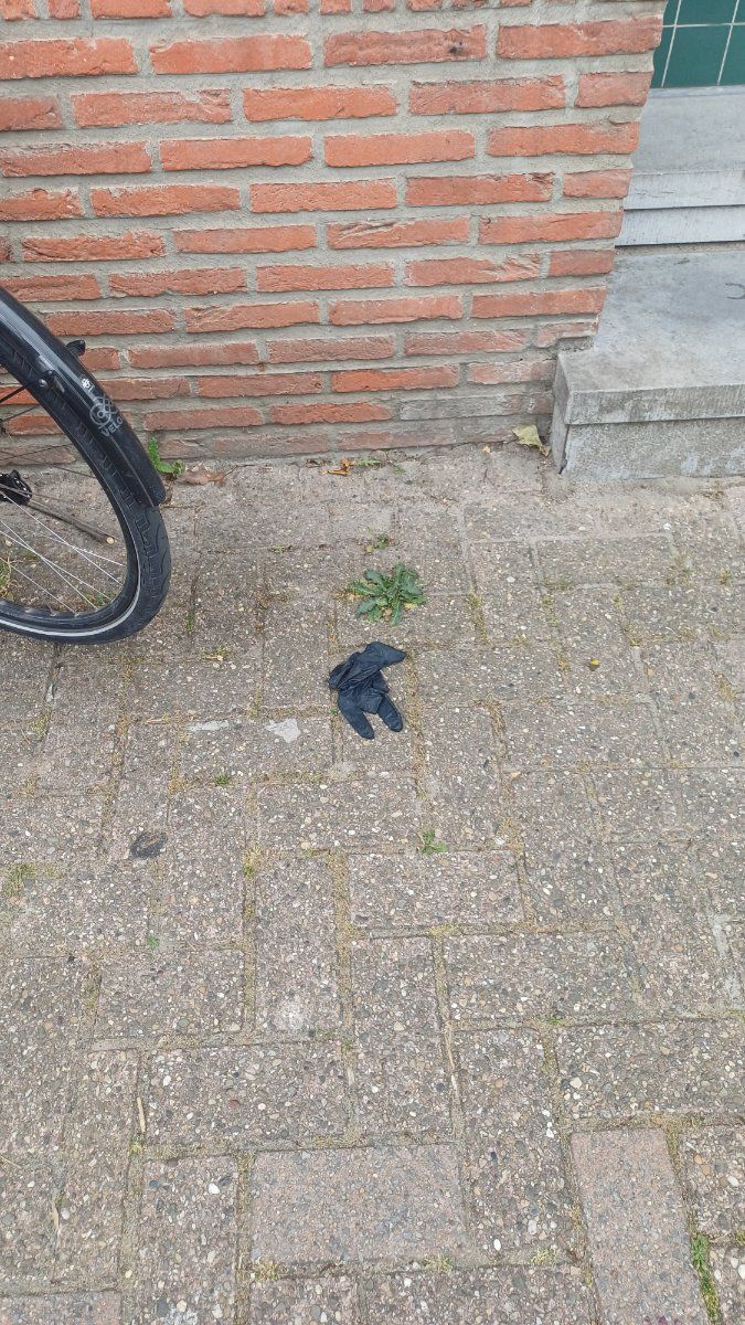 Lost black glove found in Belgium