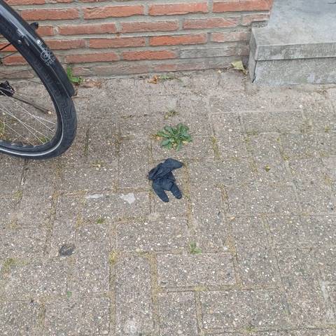 black glove found on 29 May 2026