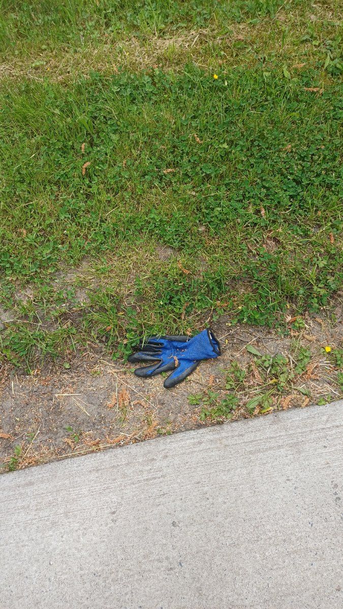 Lost blue glove found in Belgium