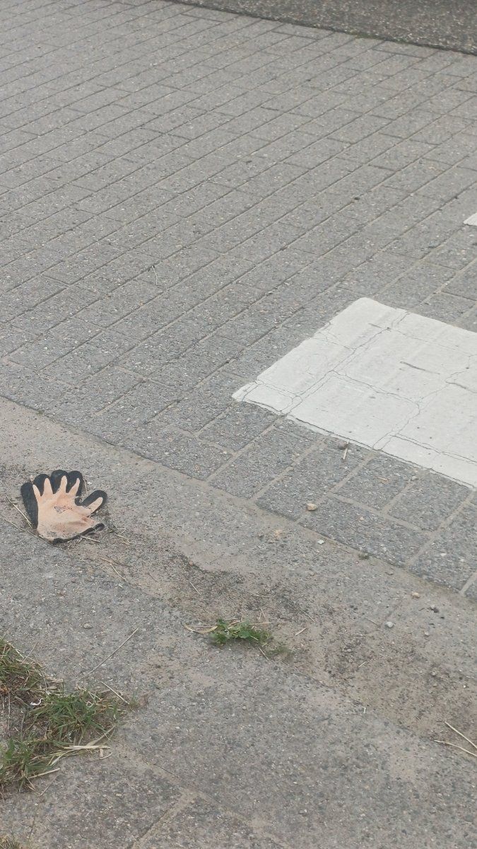 Lost grey glove found in Belgium
