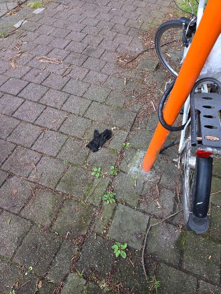 Lost black glove found in Belgium