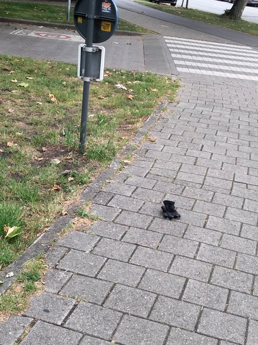Lost black glove found in Belgium