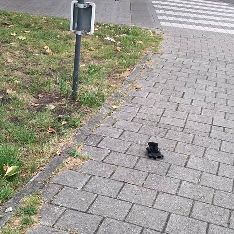 black glove found on 7 Jun 2026