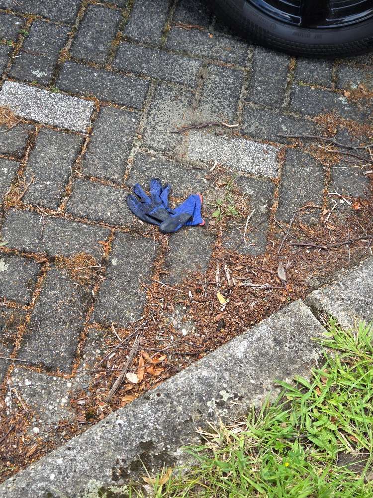 Lost blue glove found in Belgium