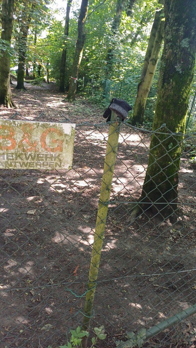 Lost black glove found in Belgium