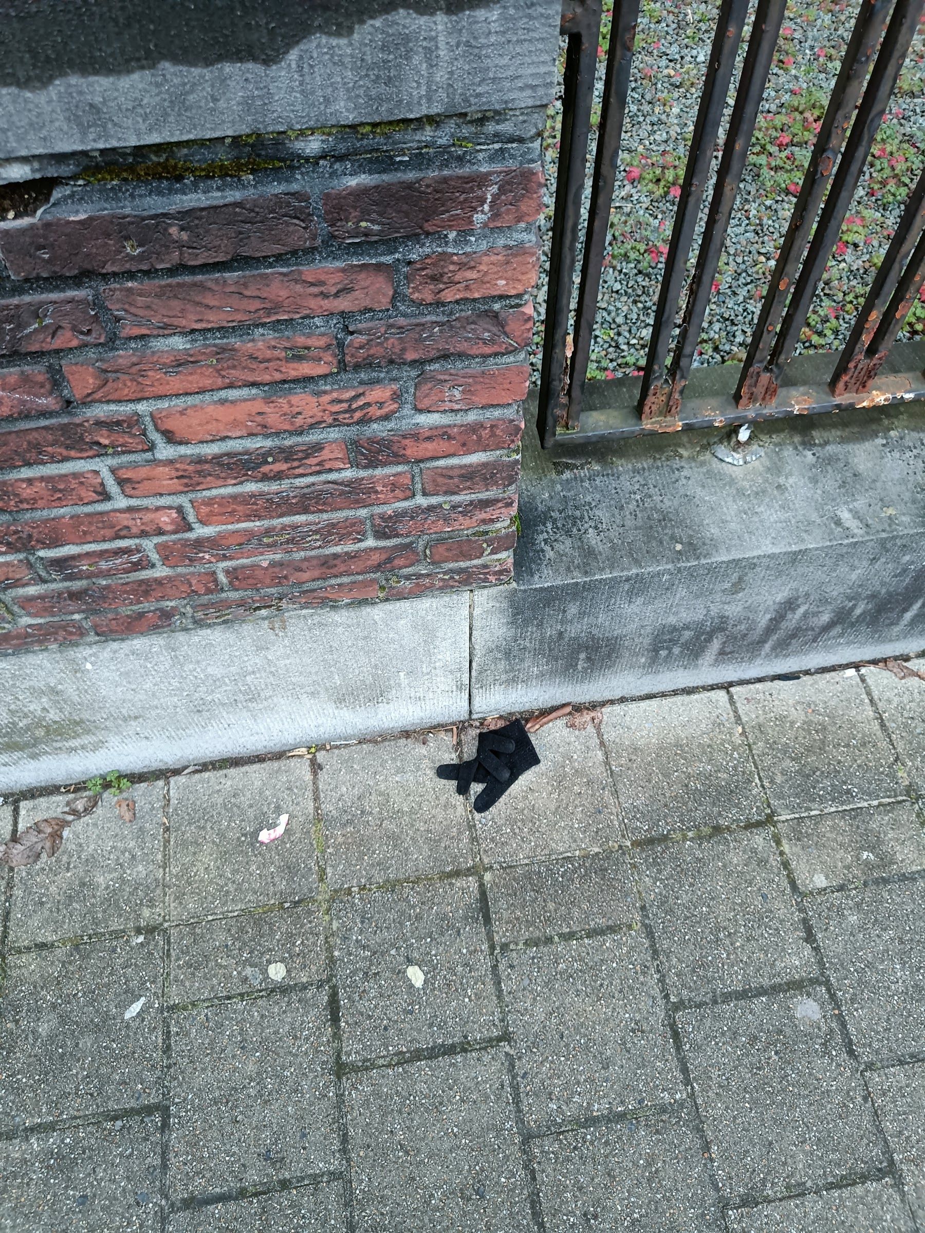 black glove found on 10 Feb 2026