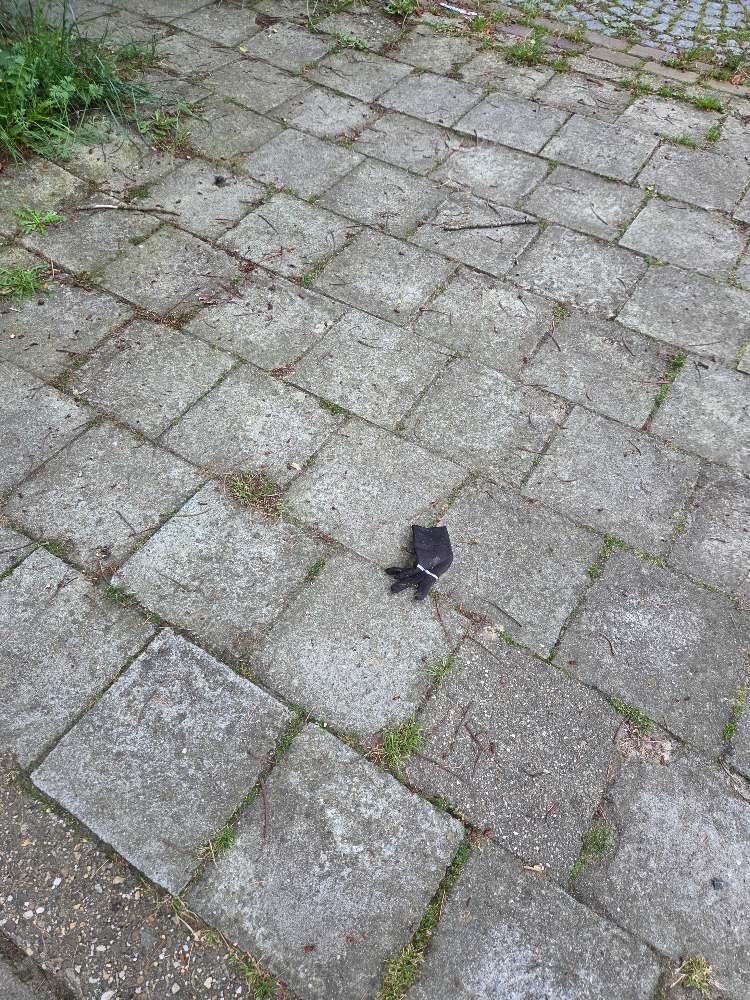 Lost black glove found in Belgium