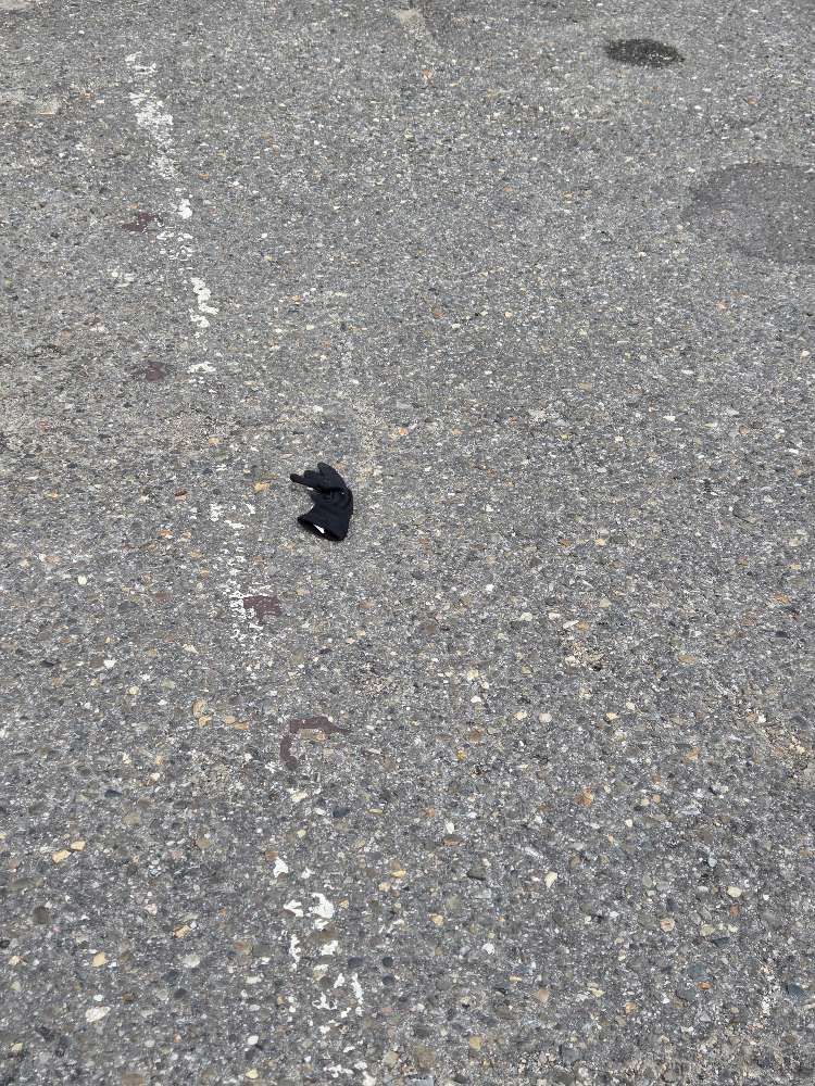 Lost black glove found in Belgium