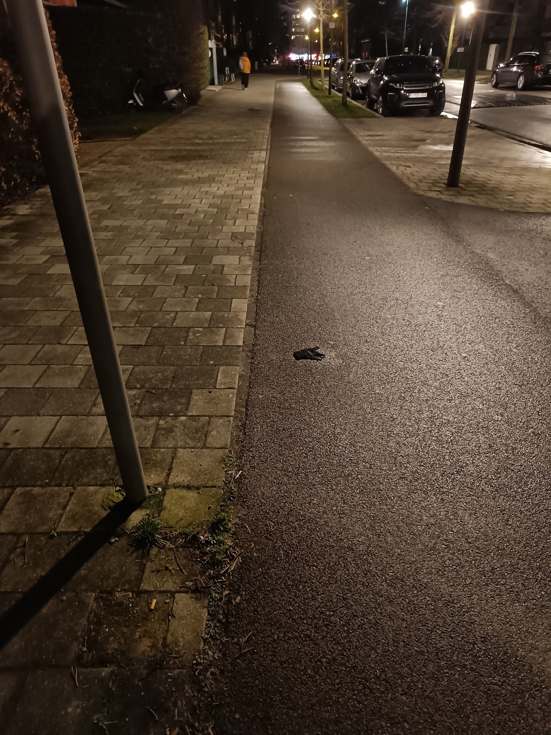 black glove found on 12 Feb 2026