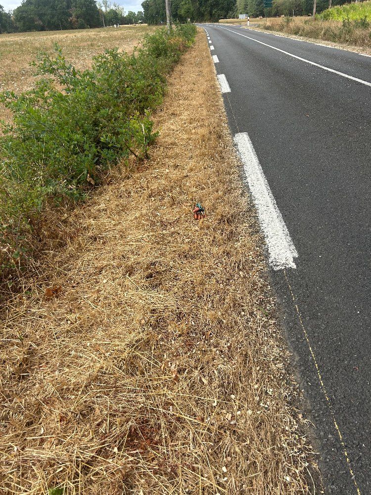 Lost black glove found in France