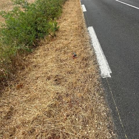 black glove found on 5 Aug 2026