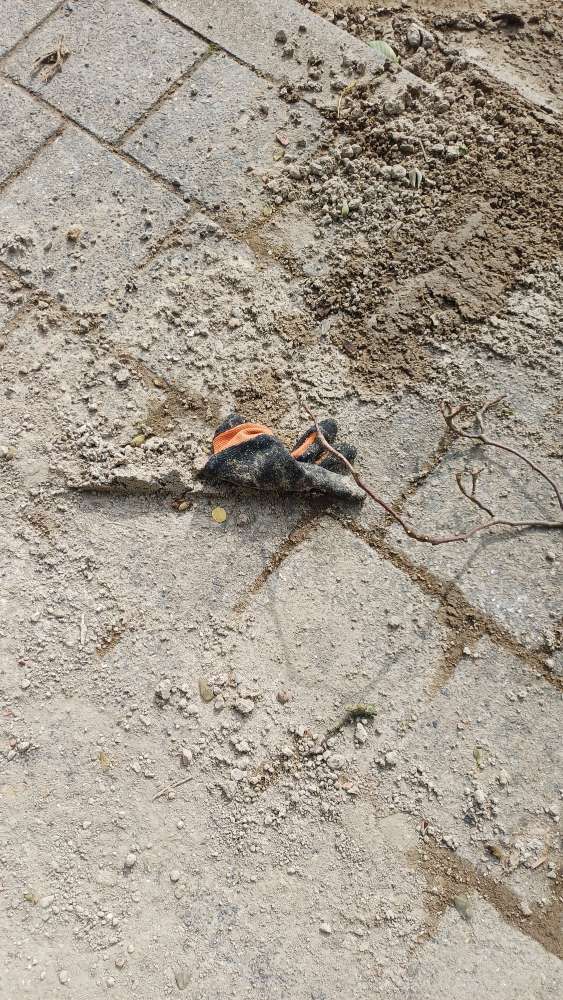 Lost orange glove found in Belgium