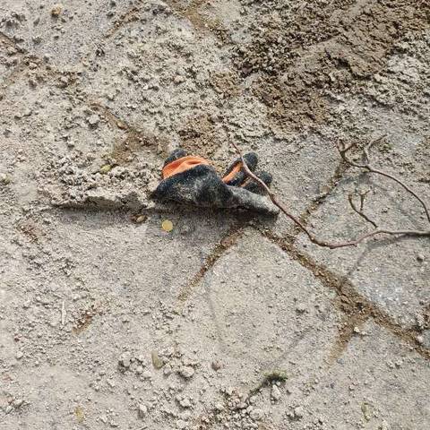 orange glove found on 30 Aug 2026