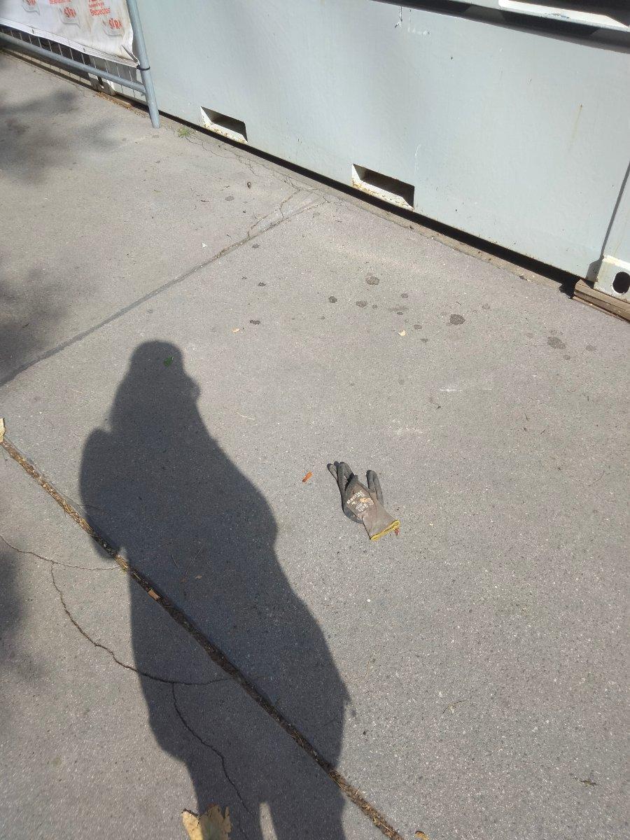 black glove: Vienna glove