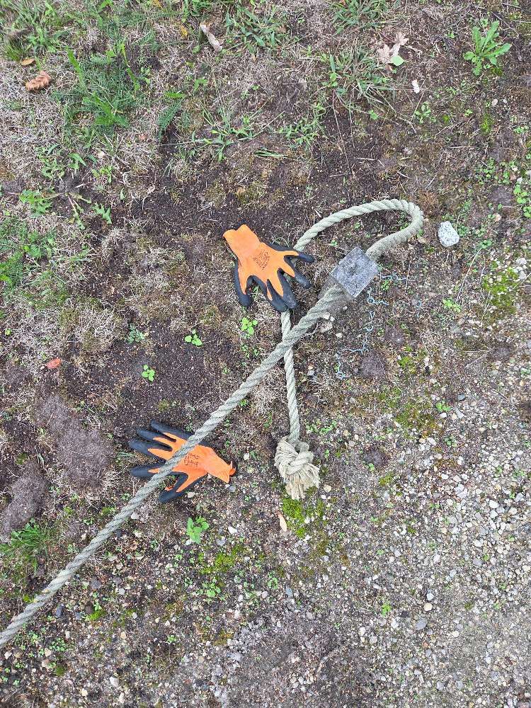 Lost orange glove found in Belgium