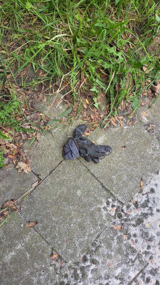 black glove: Verfrommeld