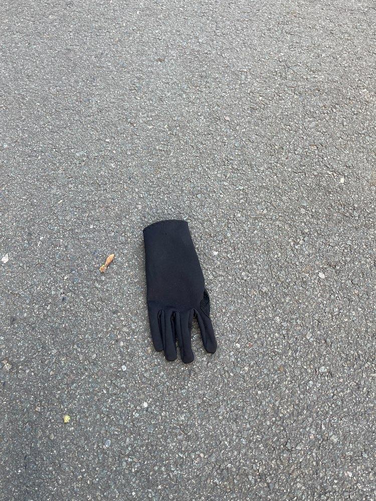 single glove: Eenzame handschoen in de herfst