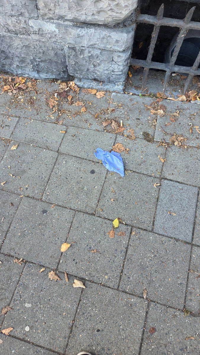 Lost purple glove