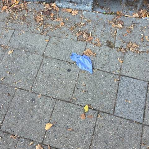 purple glove found on 13 Oct 2026