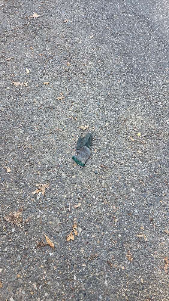 Lost green glove