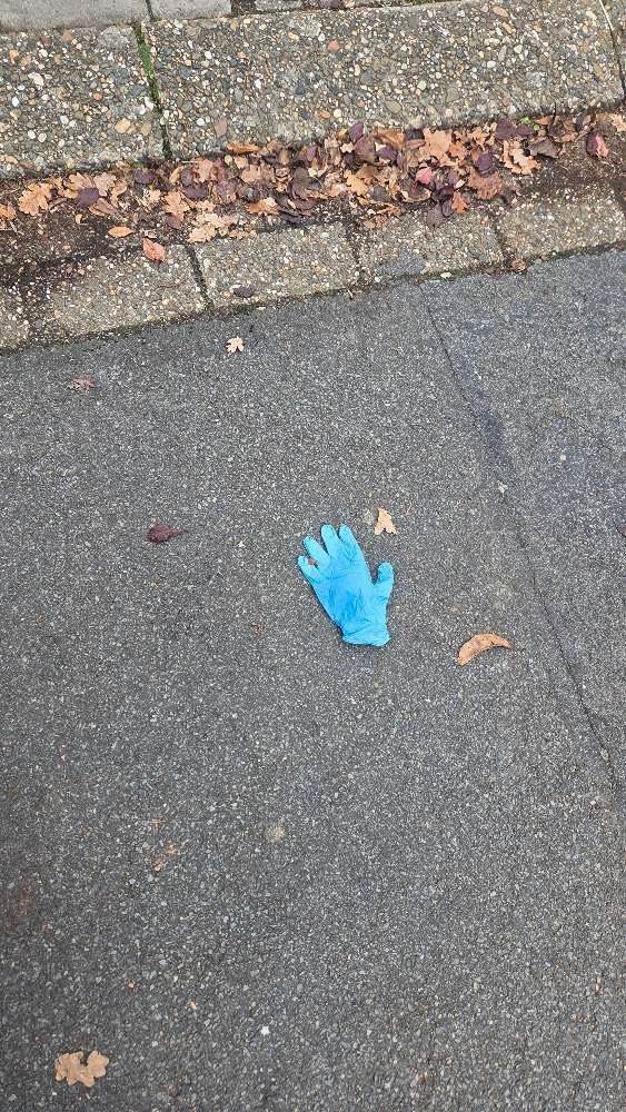 Lost blue glove
