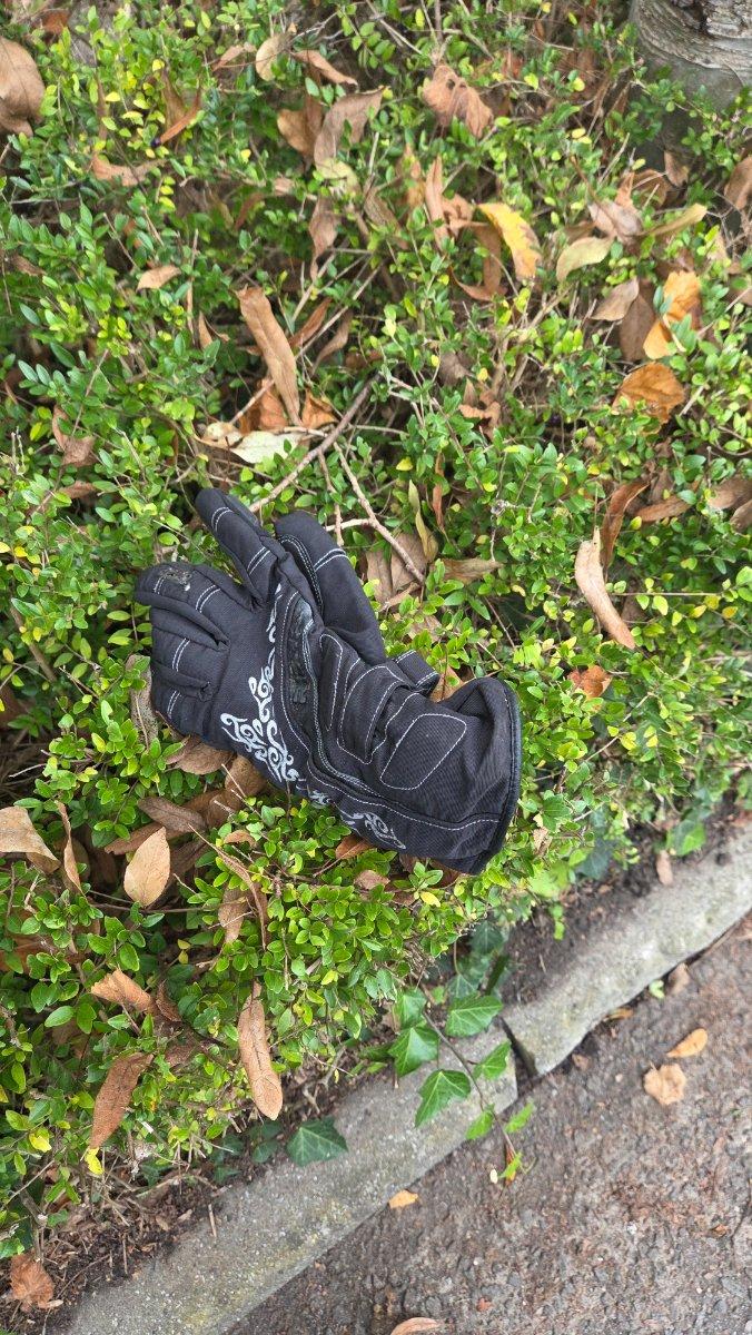 black glove: On a hedge