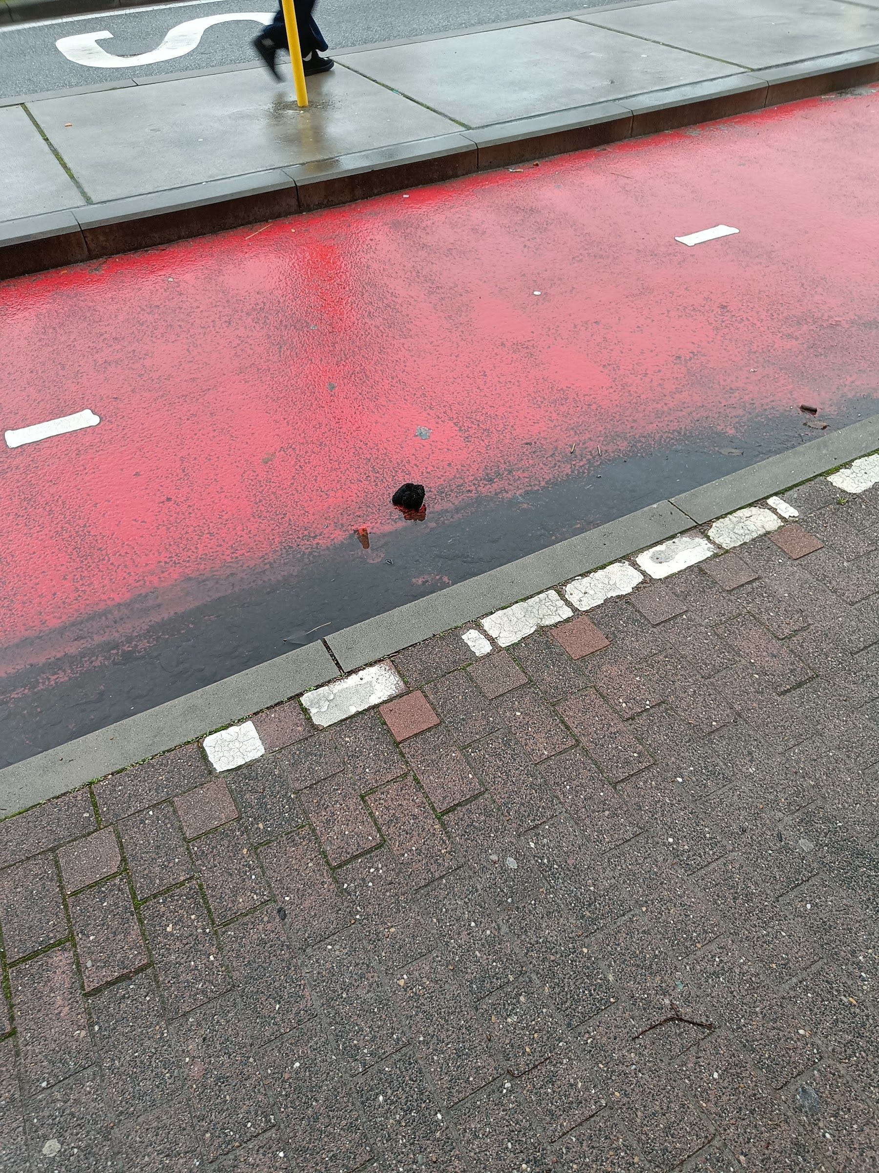 black glove found on 13 Feb 2026