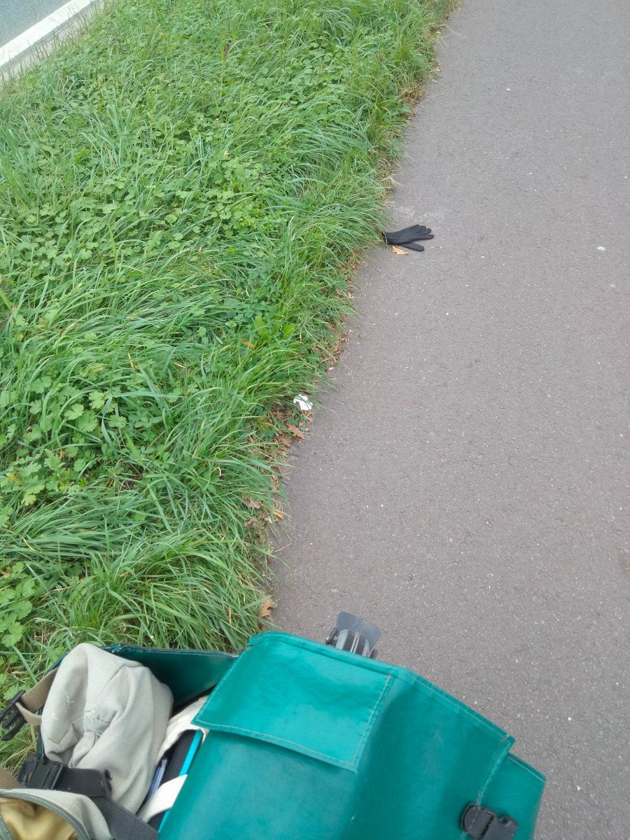 Lost black glove