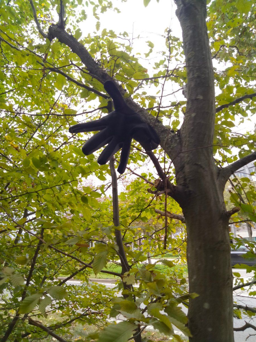 Lost black glove