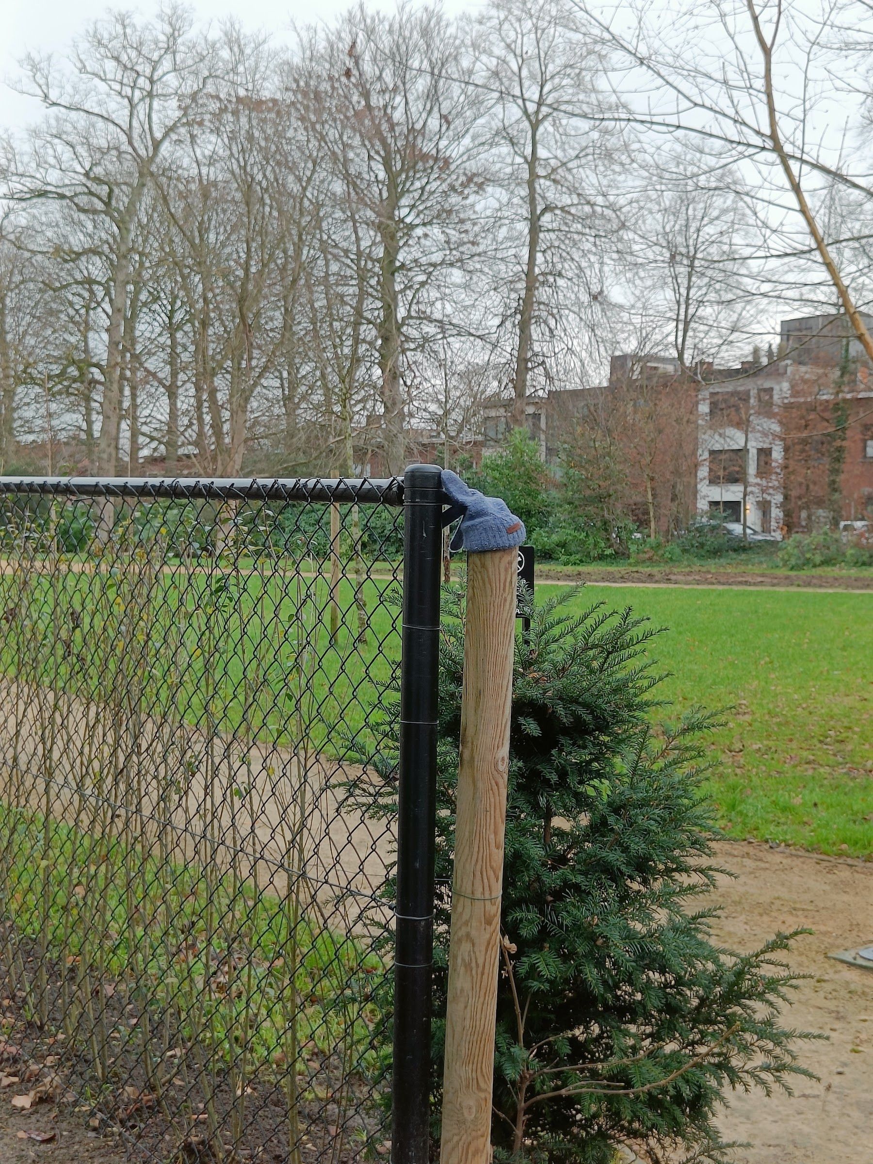 grey glove found on 19 Dec 2025