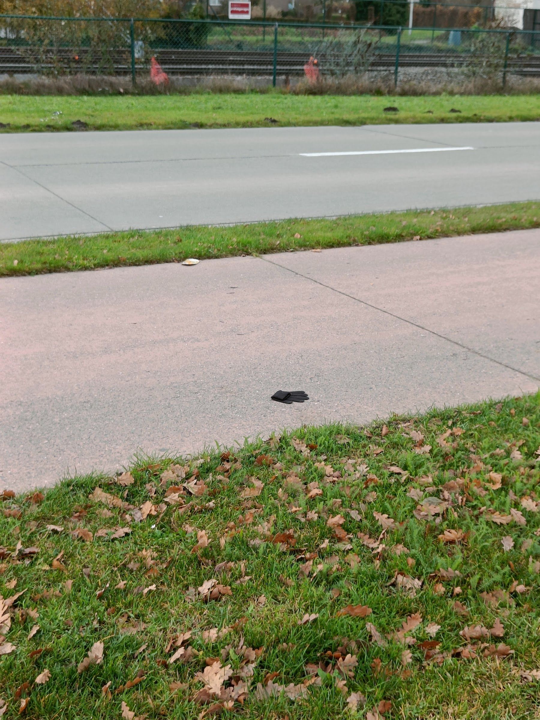 black glove found on 11 Dec 2025