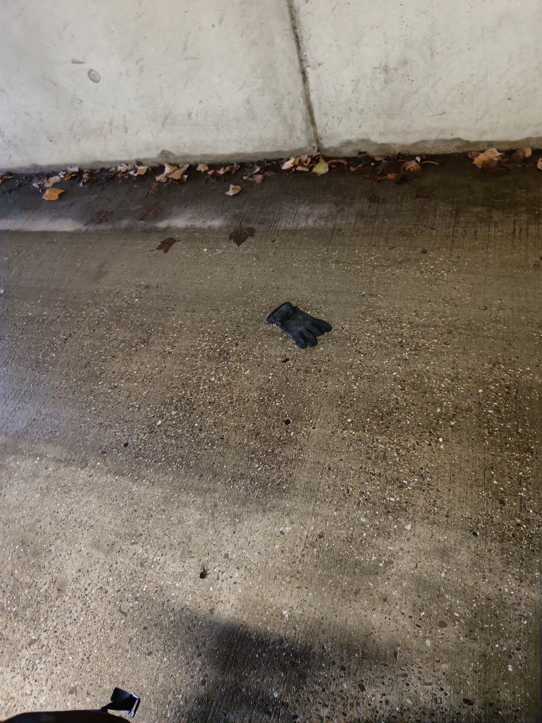 black glove found on 30 Nov 2025