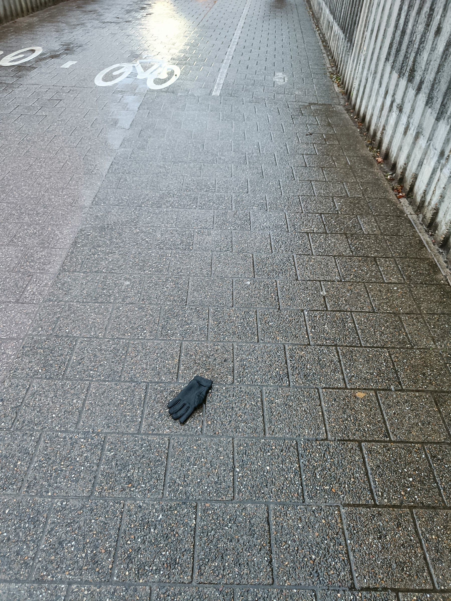 black glove found on 24 Nov 2025