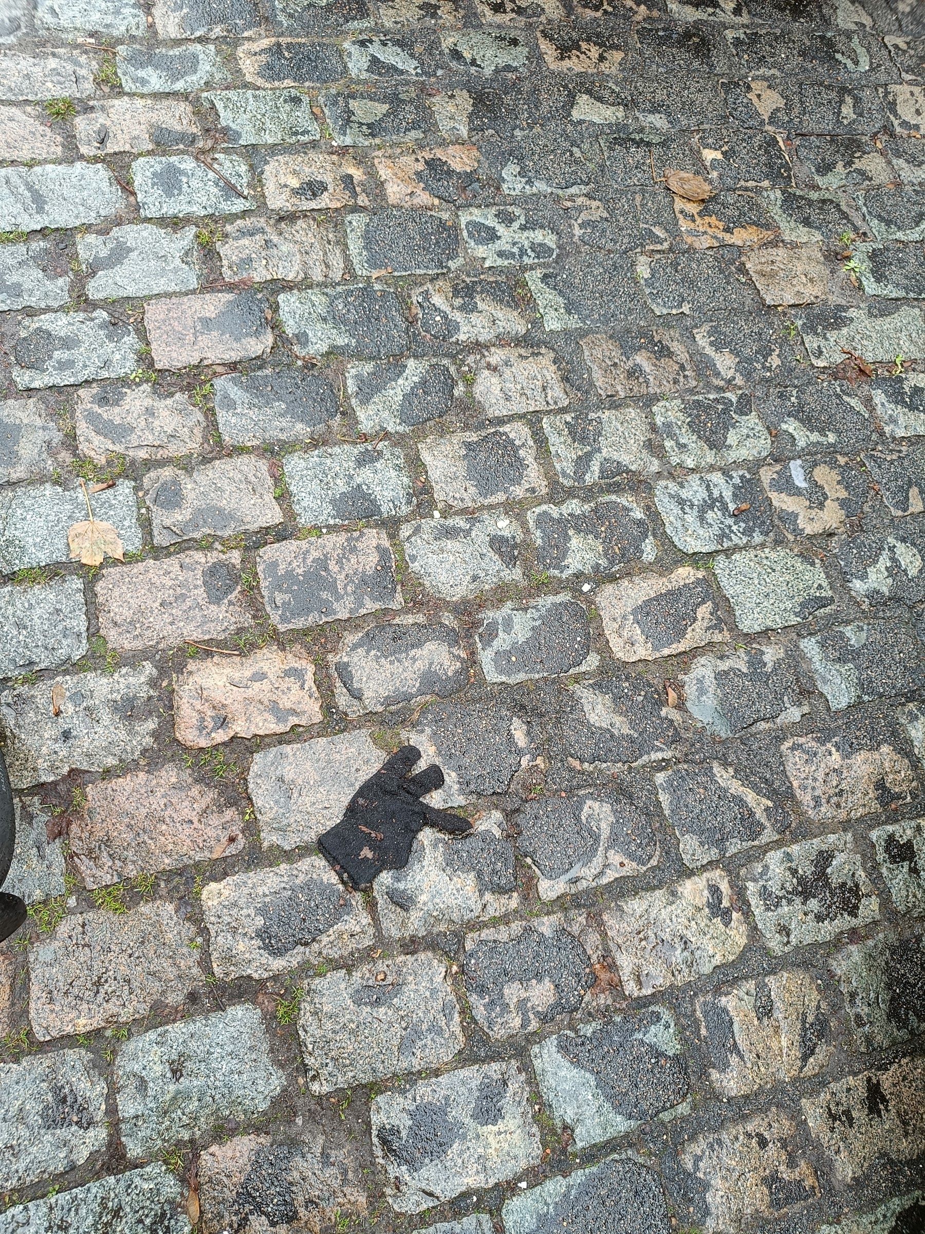 black glove found on 23 Nov 2025