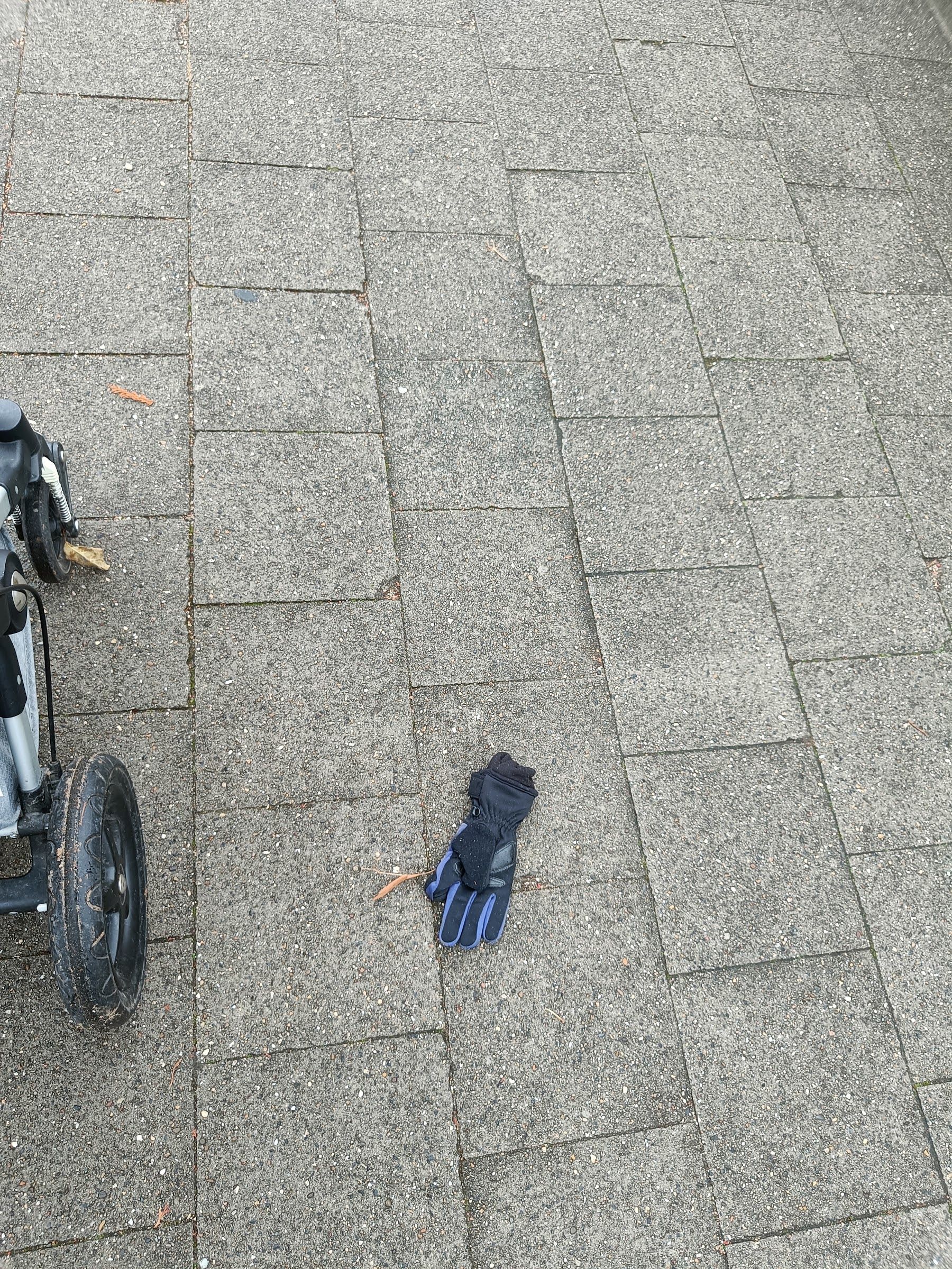 blue glove found on 13 Nov 2025