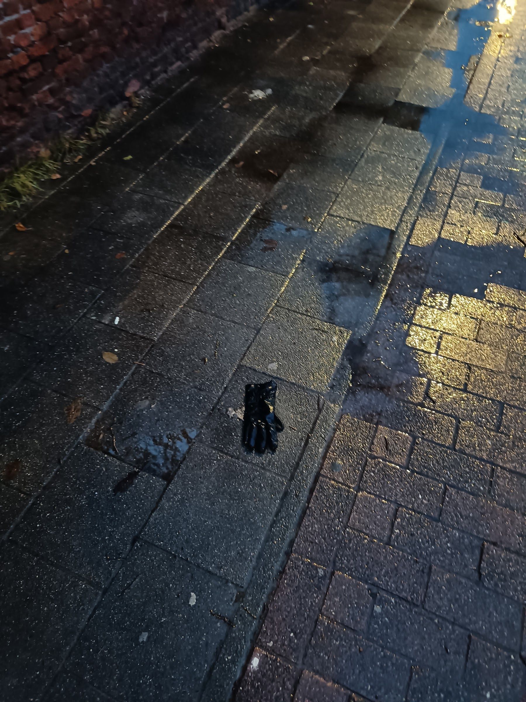 black glove found on 9 Jan 2026