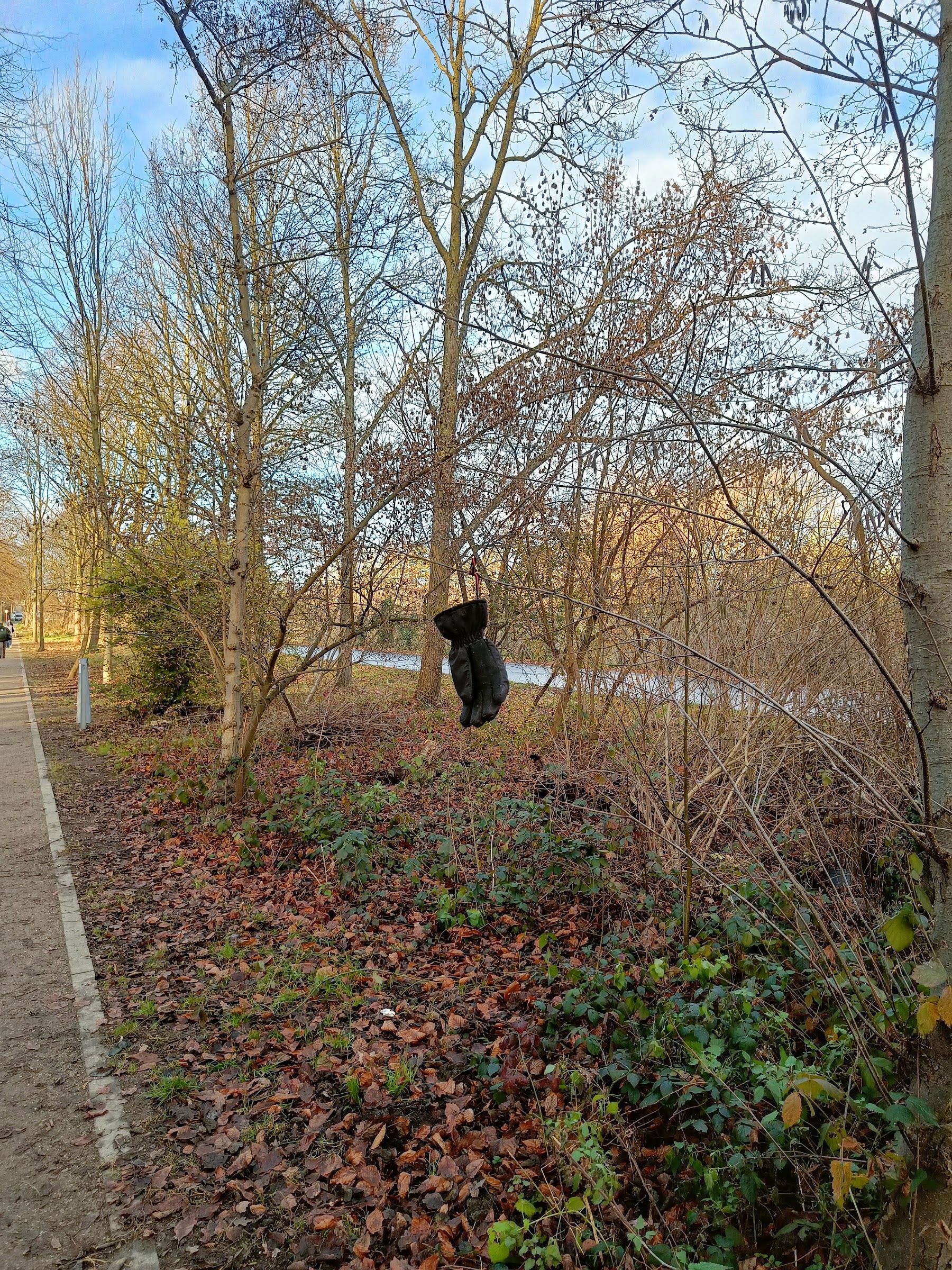 black glove found on 30 Dec 2025