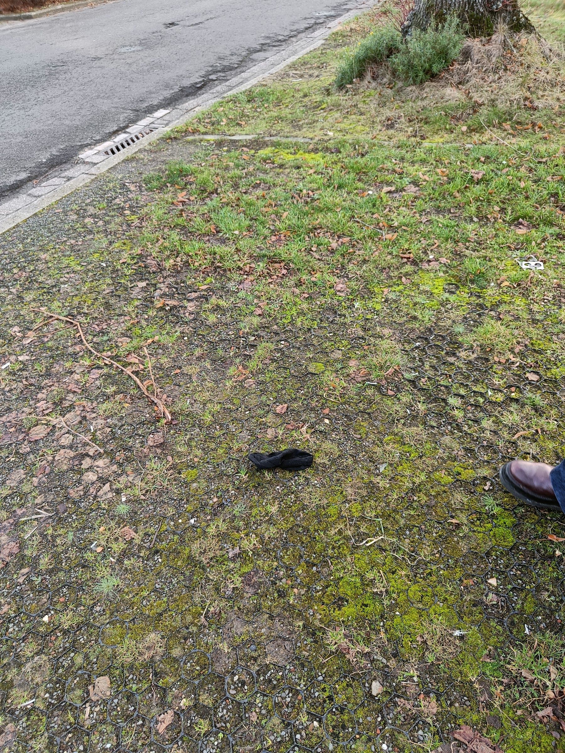 black glove found on 30 Dec 2025