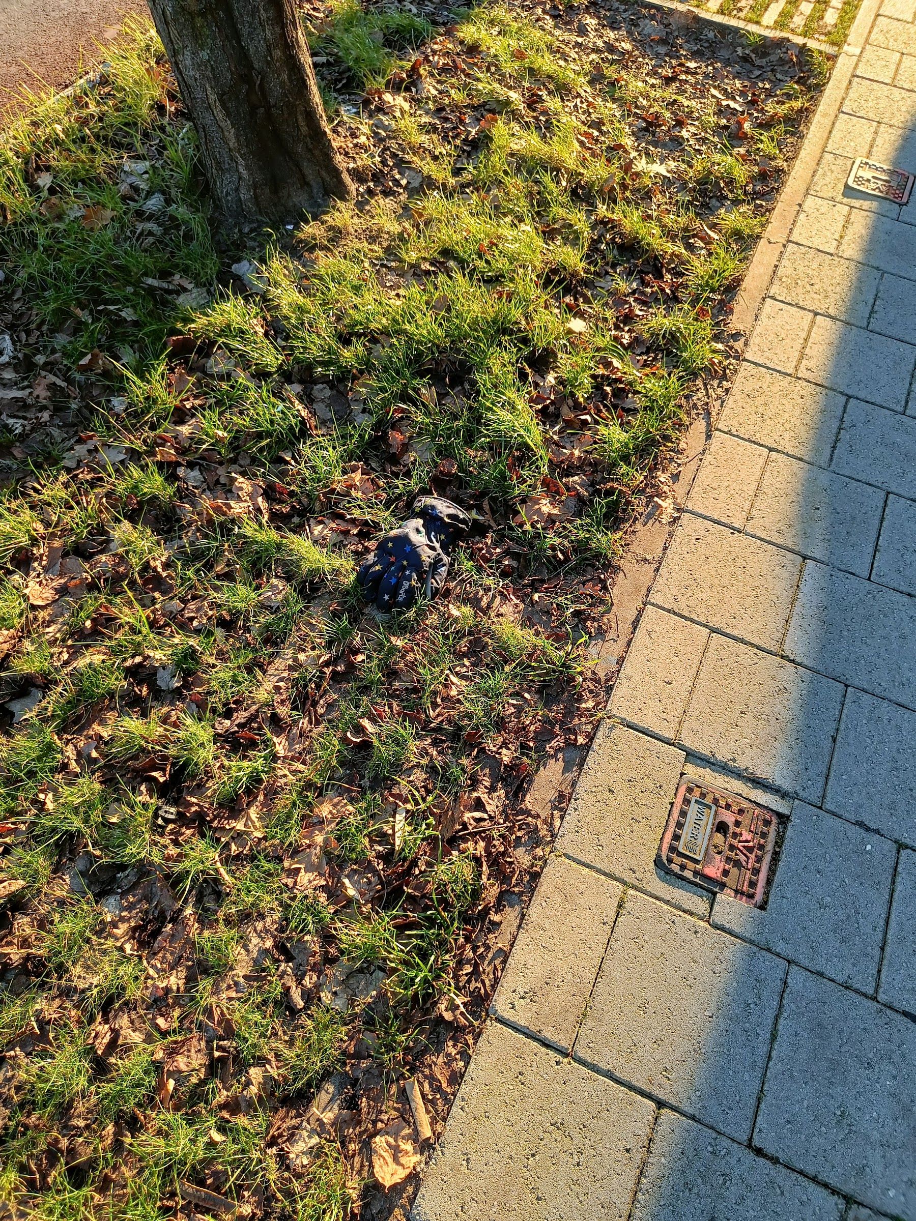 multicolor glove found on 24 Dec 2025