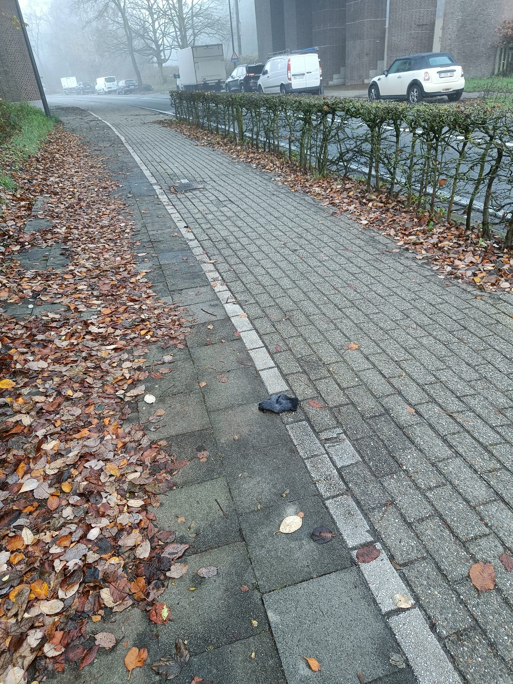 black glove found on 20 Dec 2025