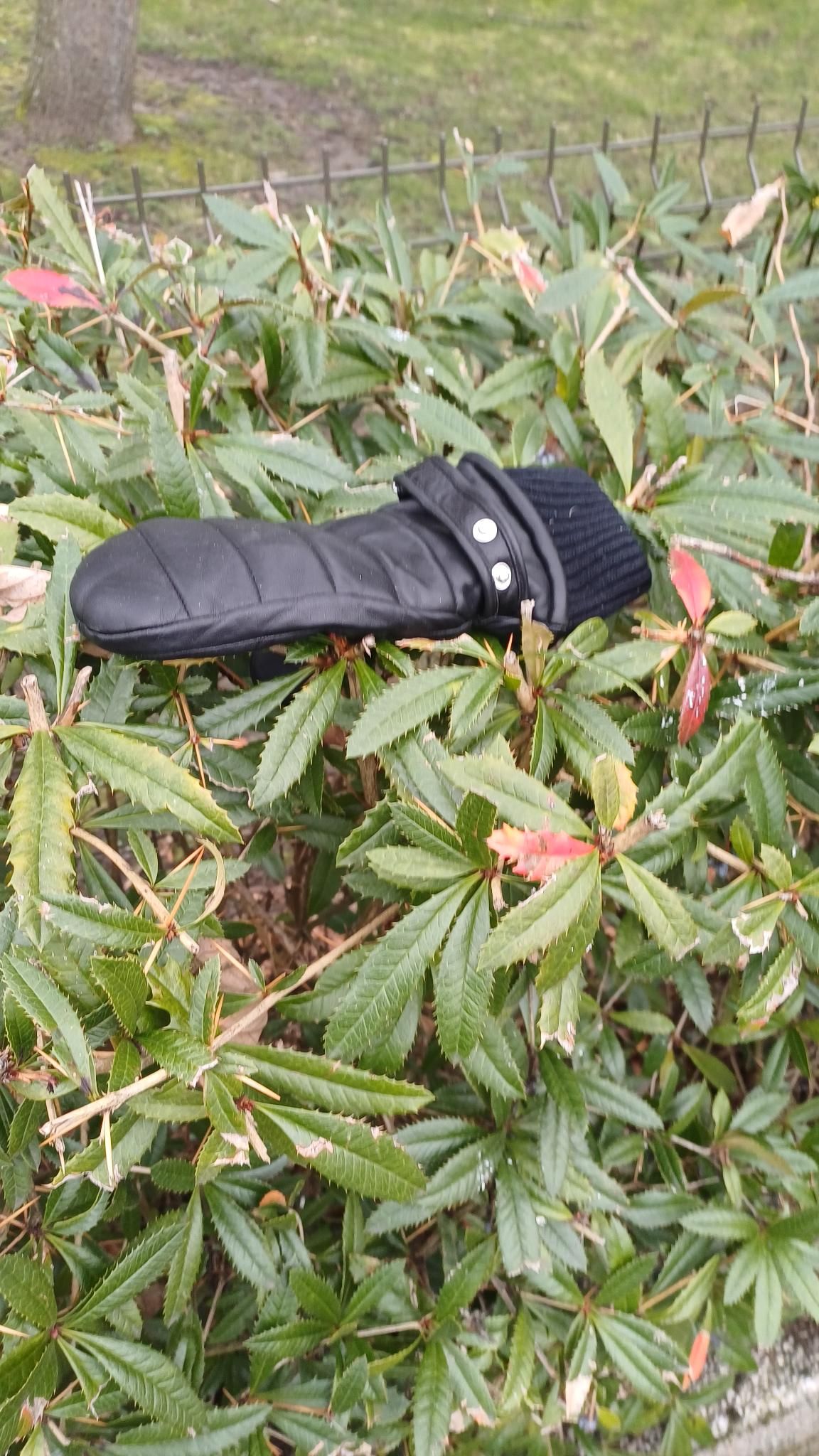 black glove found on 15 Feb 2026