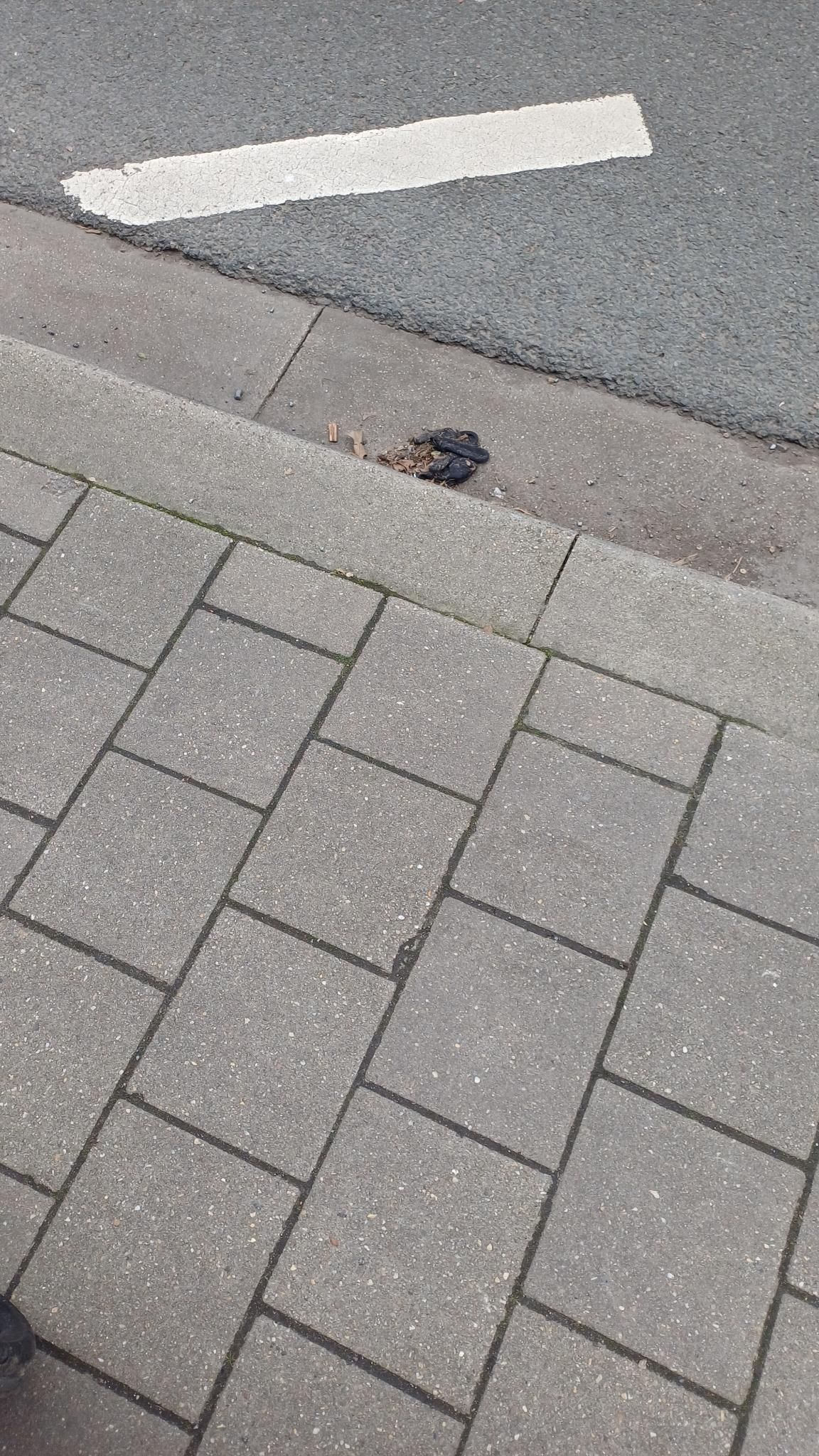 black glove found on 15 Feb 2026