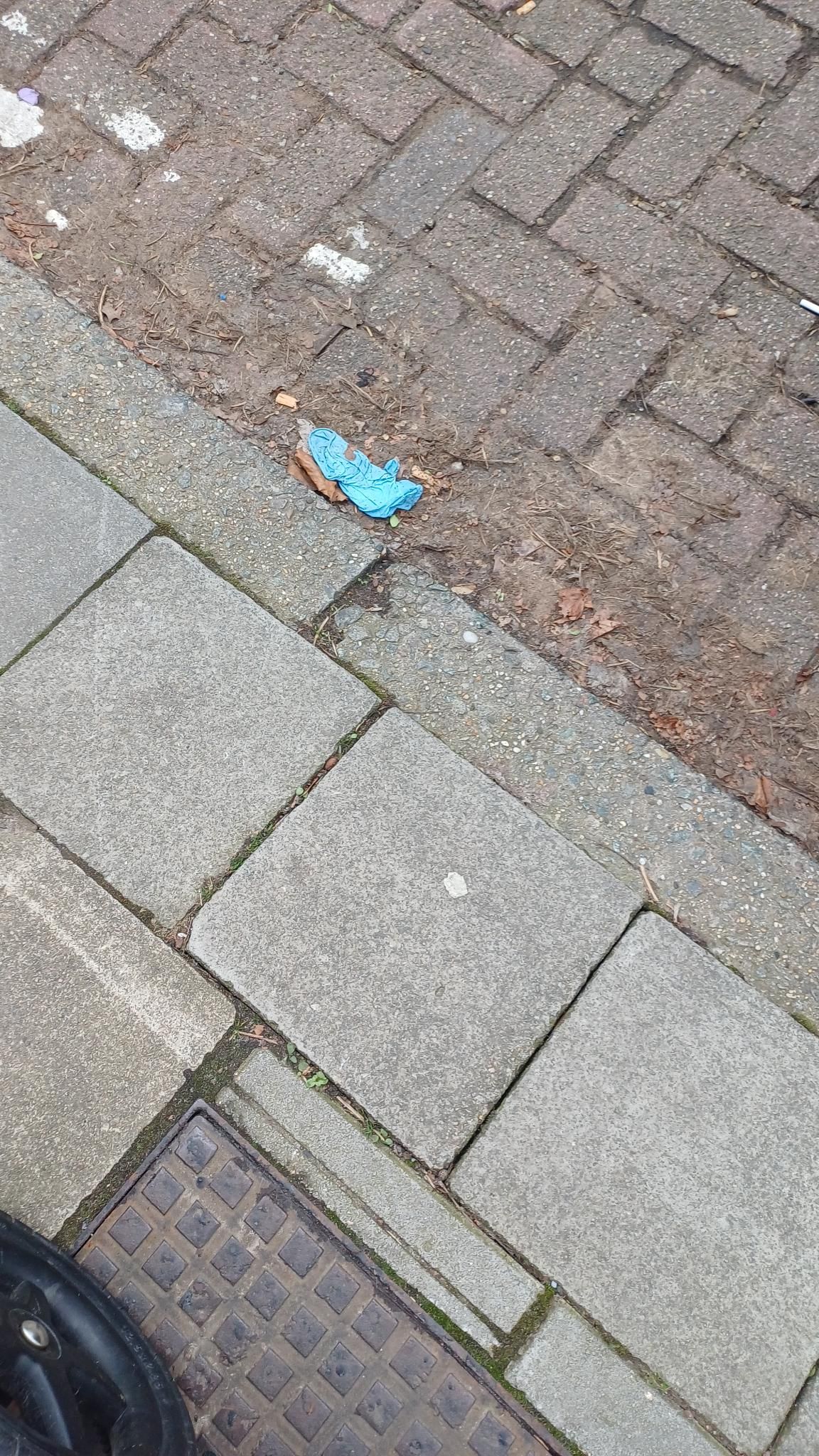 blue glove found on 15 Feb 2026