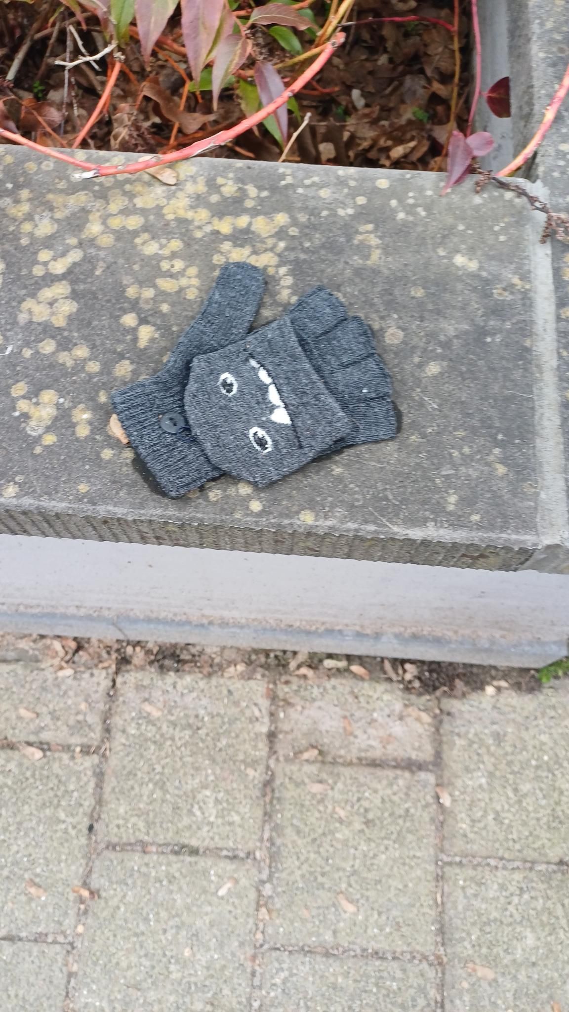 grey glove found on 15 Feb 2026